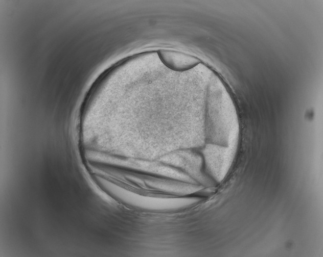 X0000116671519201001111300