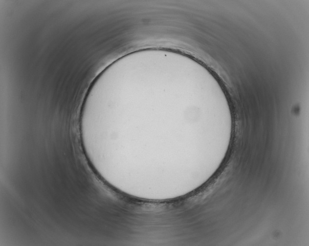 X0000116671521201001111300