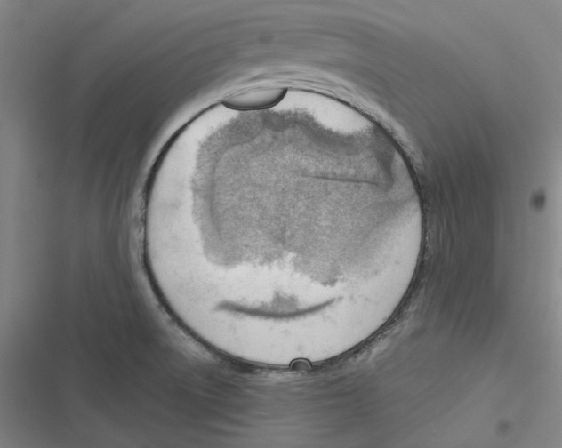 X0000116671522201001111300