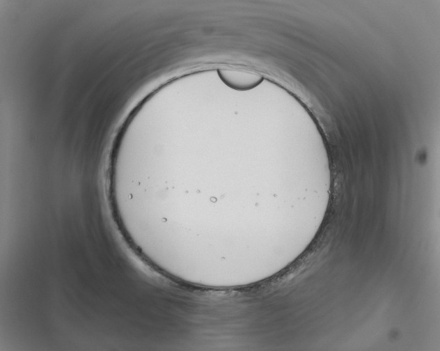 X0000116671523201001111300