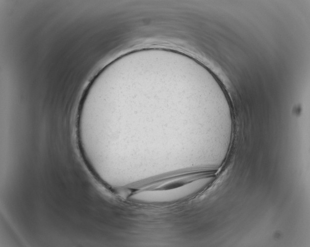 X0000116671525201001111300