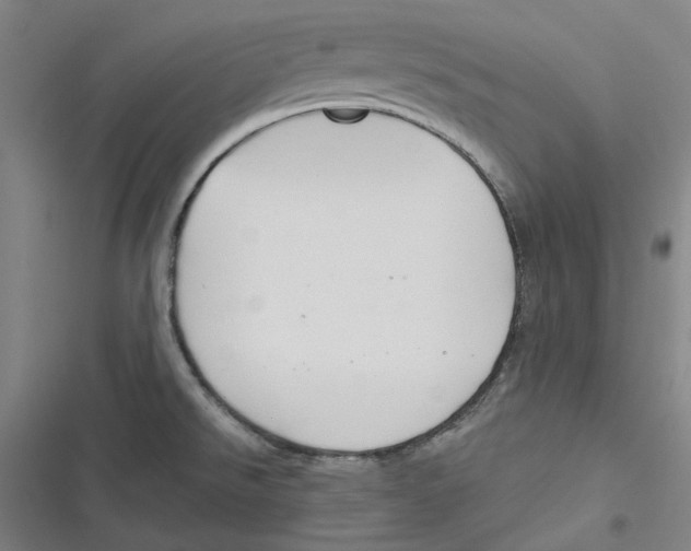 X0000116671526201001111300