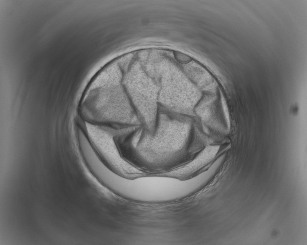 X0000116671527201001111300