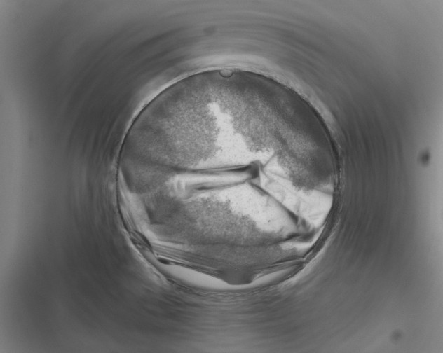 X0000116671529201001111300