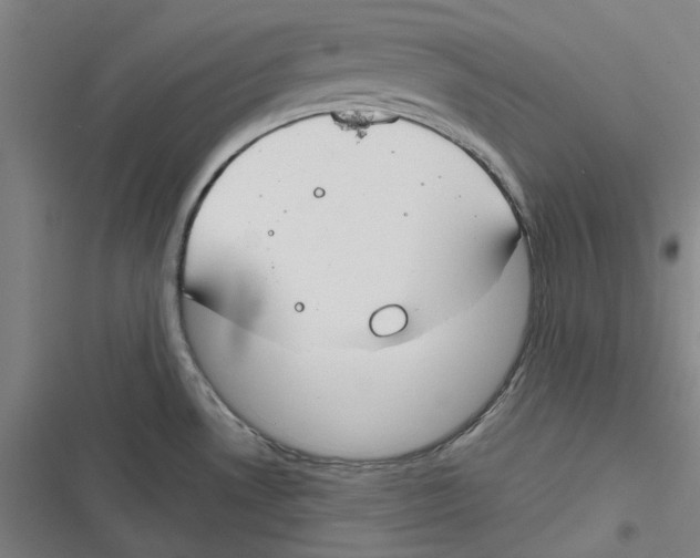 X0000116671530201001111300