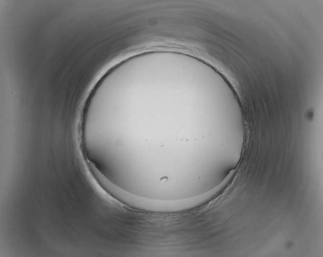 X0000116671531201001111300