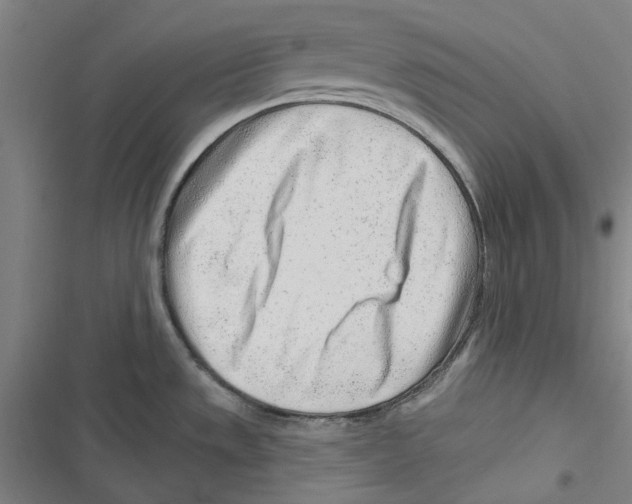 X0000116671533201001111300