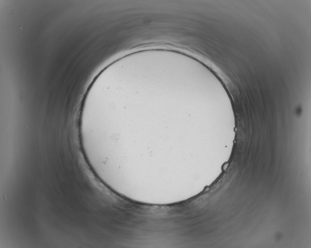 X0000116671534201001111300