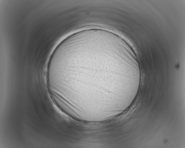 X0000116671535201001111300