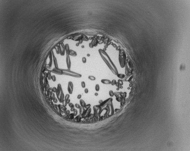 X0000116670001201001251248