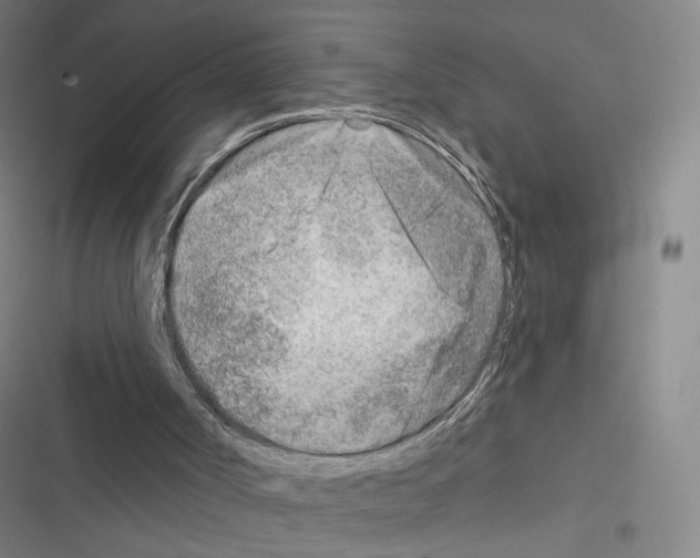 X0000116670002201001251248