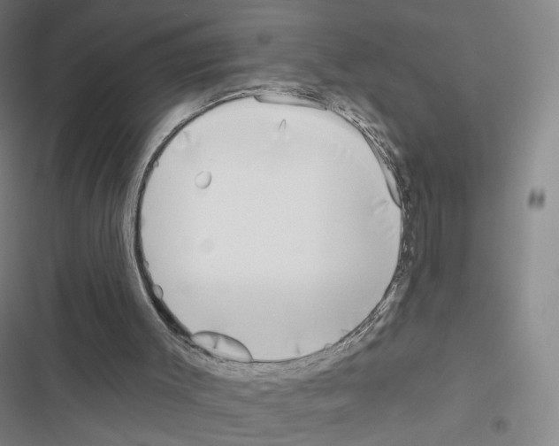 X0000116670003201001251248