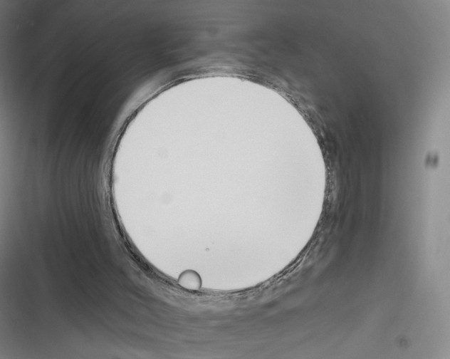 X0000116670004201001251248