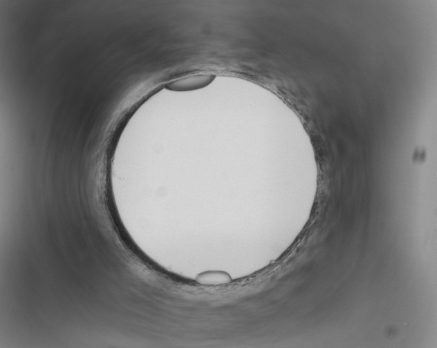 X0000116670005201001251248