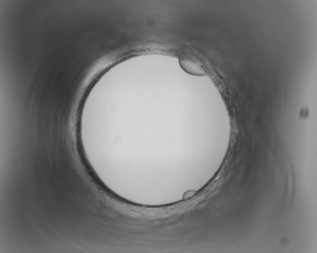 X0000116670006201001251248