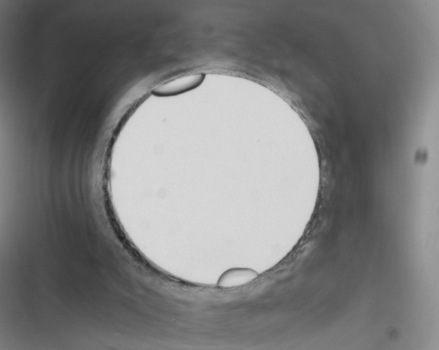 X0000116670007201001251248