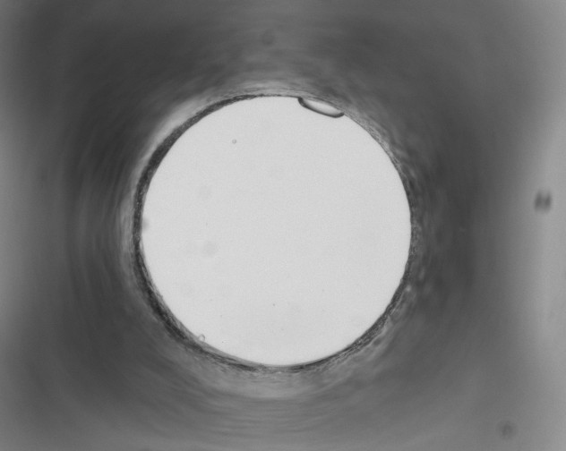 X0000116670008201001251248