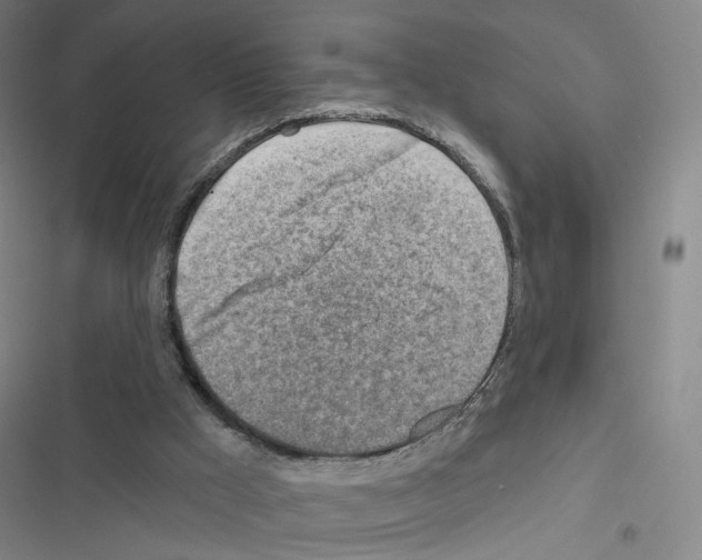 X0000116670009201001251248