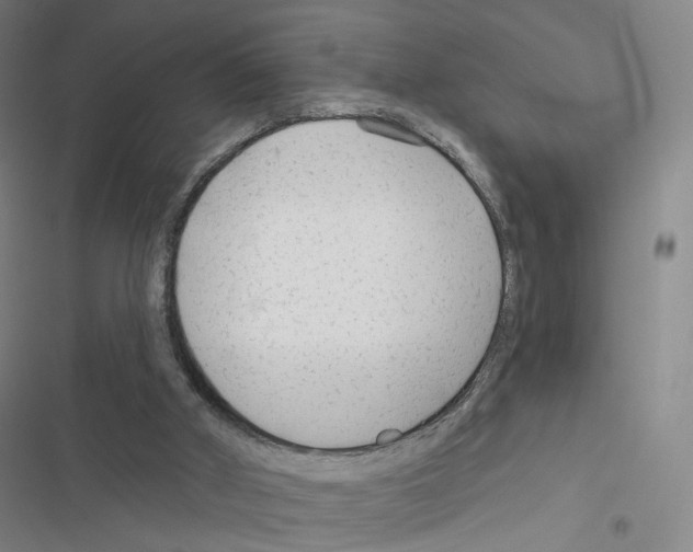 X0000116670010201001251248