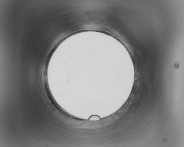 X0000116670011201001251248
