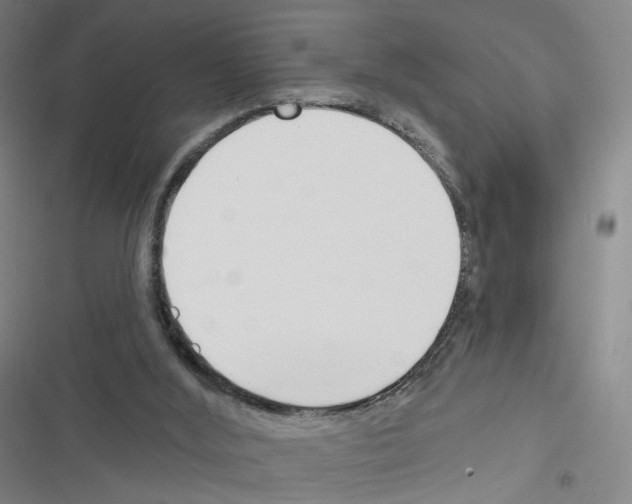 X0000116670012201001251248