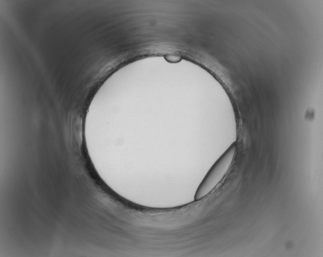 X0000116670013201001251248