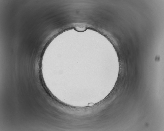 X0000116670015201001251248