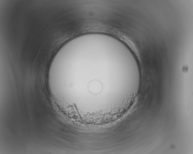 X0000116670017201001251248