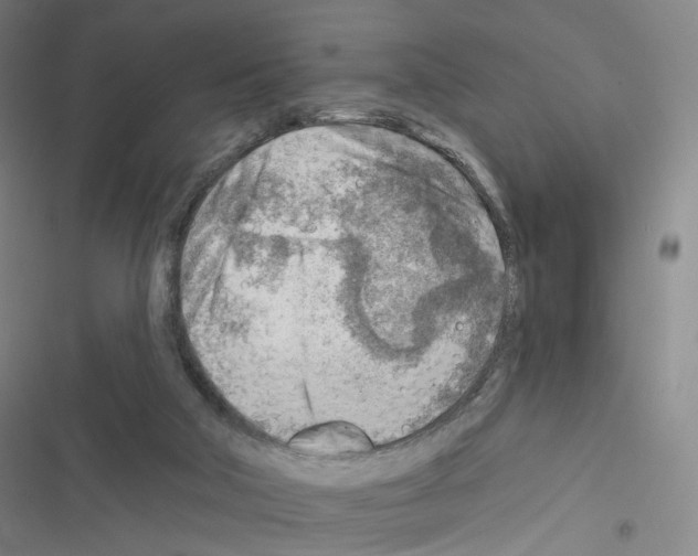 X0000116670018201001251248