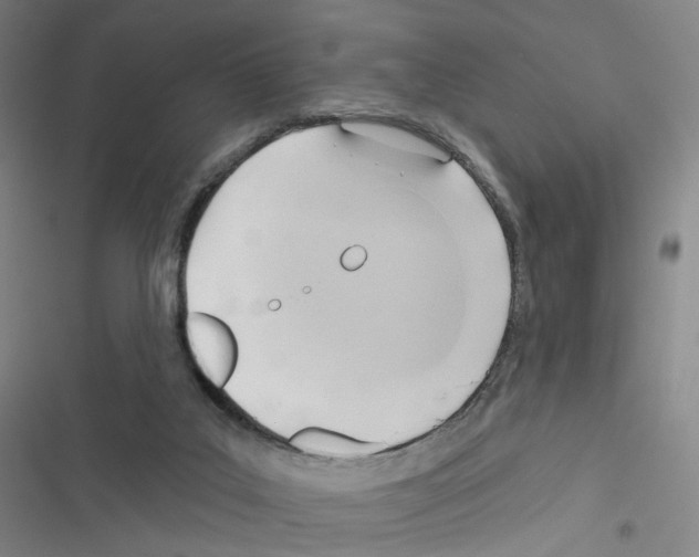 X0000116670019201001251248