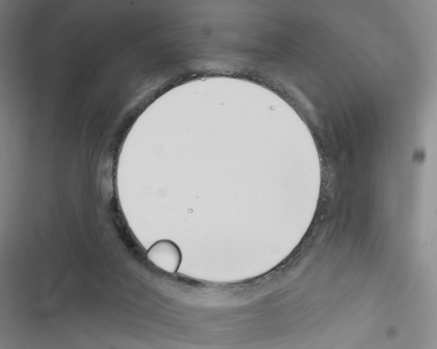 X0000116670020201001251248