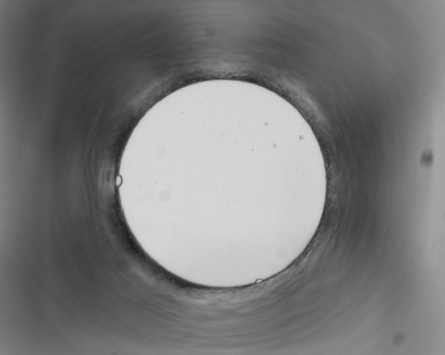 X0000116670021201001251248