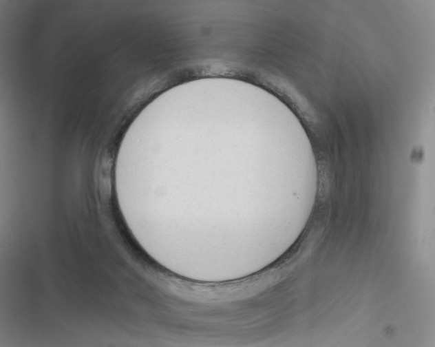 X0000116670022201001251248