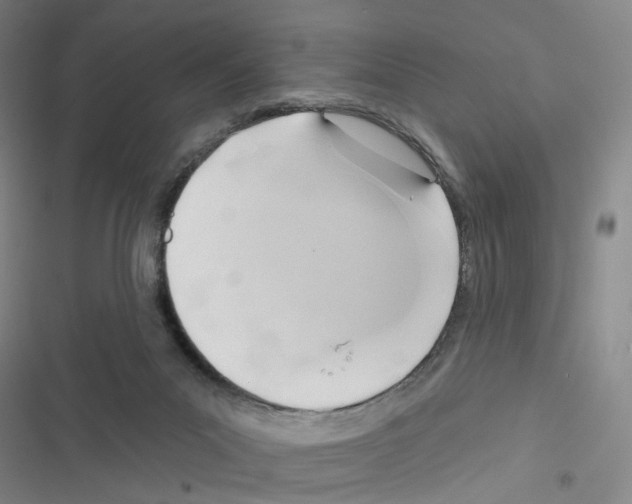 X0000116670023201001251248
