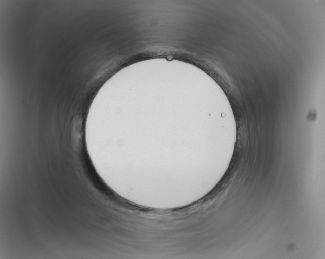 X0000116670024201001251248