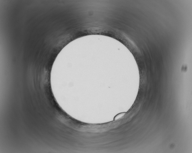 X0000116670025201001251248