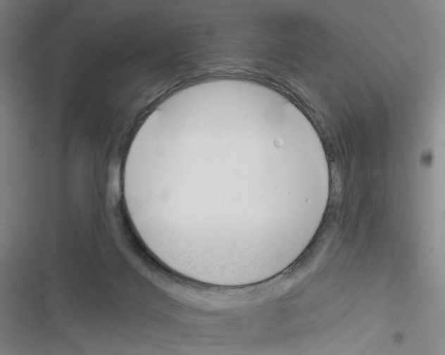 X0000116670028201001251248