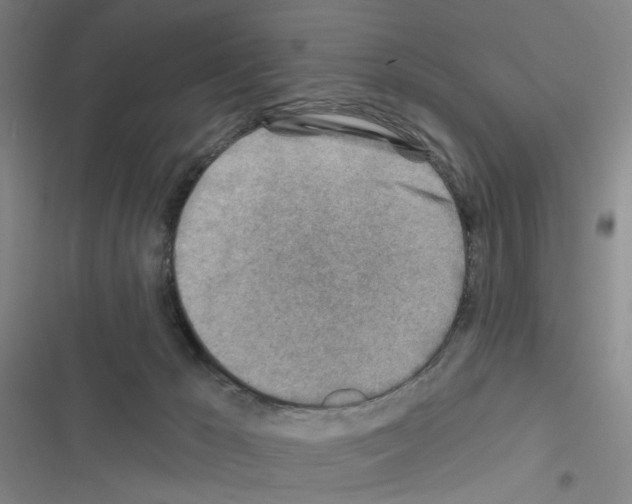 X0000116670029201001251248