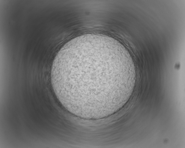 X0000116670030201001251248