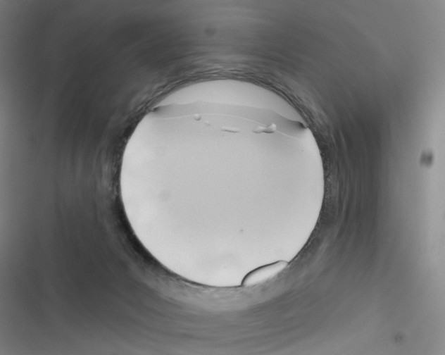 X0000116670031201001251248