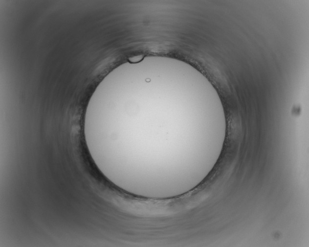 X0000116670032201001251248