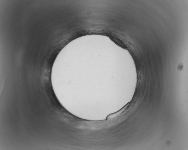 X0000116670033201001251248