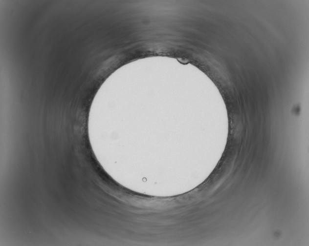 X0000116670036201001251248