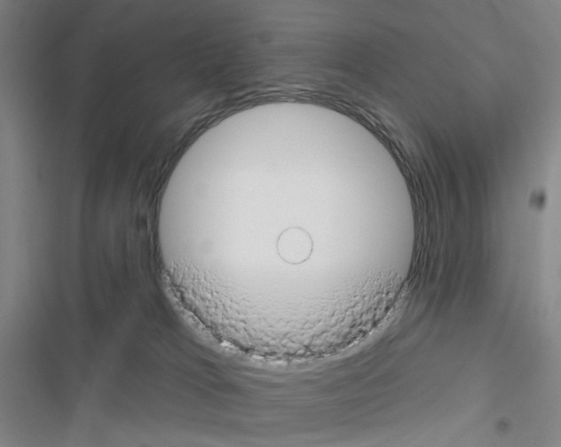 X0000116670037201001251248