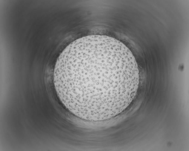 X0000116670038201001251248