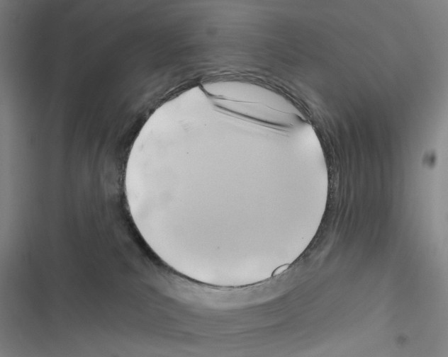 X0000116670039201001251248