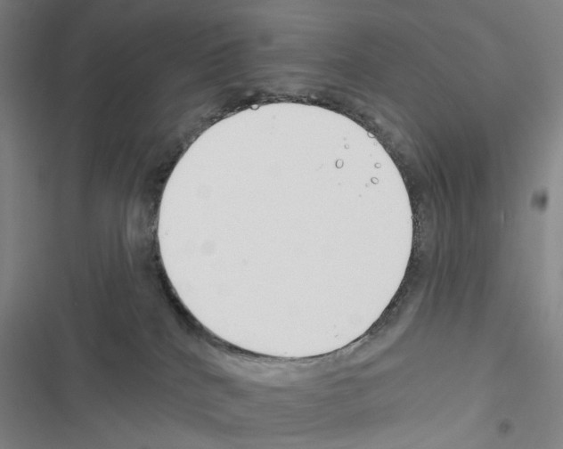 X0000116670040201001251248