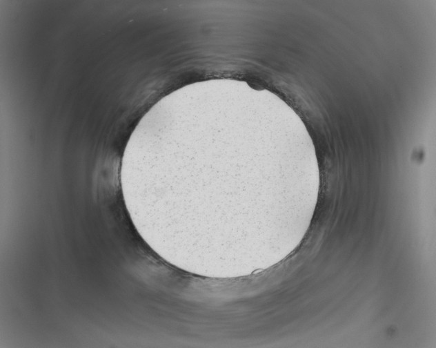 X0000116670041201001251248