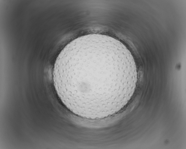 X0000116670042201001251248