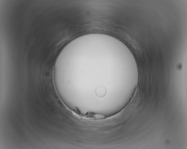 X0000116670043201001251248